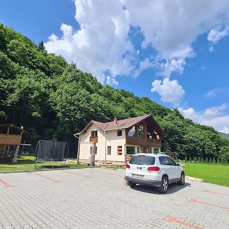 Pensiune Subcrai Cu Centru Spa Zarnesti Exterior photo