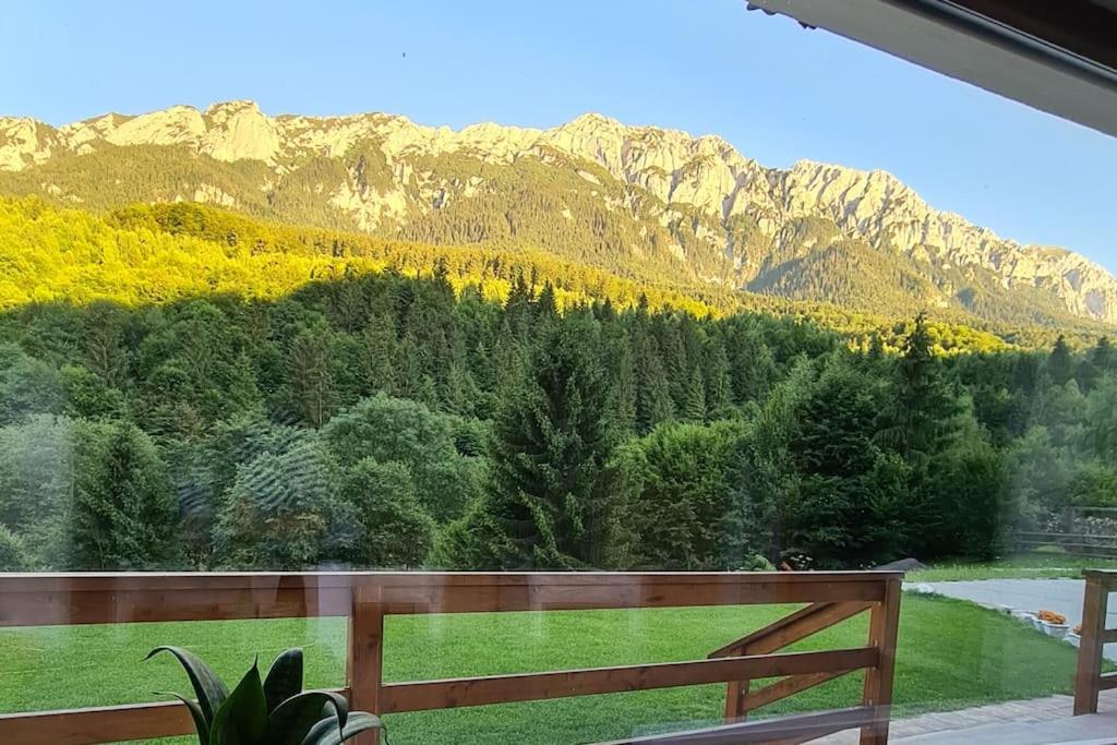 Pensiune Subcrai Cu Centru Spa Zarnesti Exterior photo